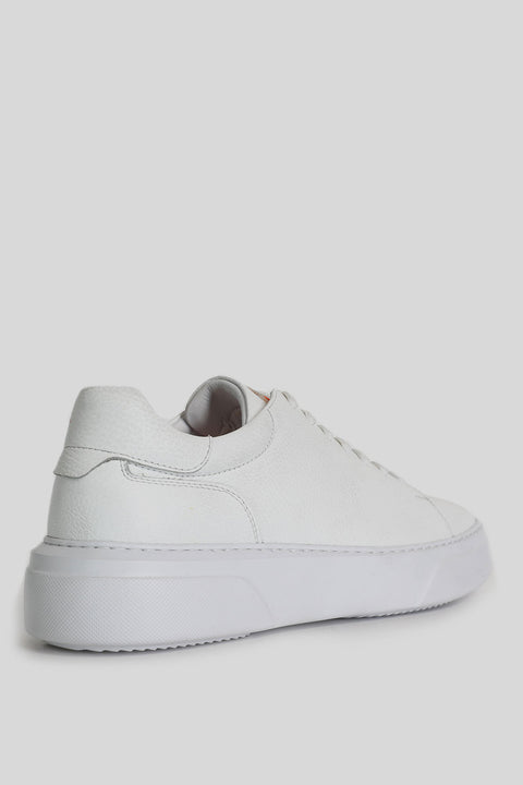 TOMMY
